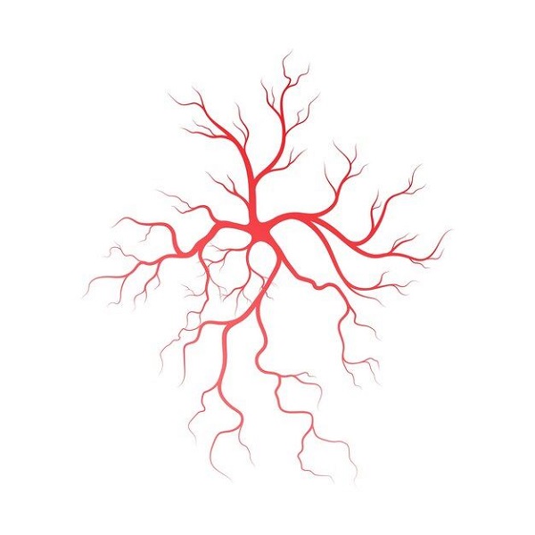 Удаление сосудистых звёздочек (телеангиэктазий)